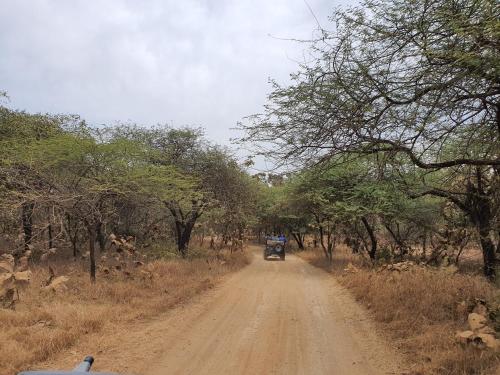a vehicle driving down a dirt road with trees at The Wilds Villa Gir Jungle Stay with Swimming Pool in Sasan Gir