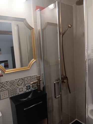 a bathroom with a shower with a sink and a mirror at studio maisonette in Eysines