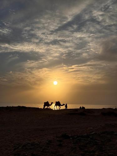 two people riding horses on the beach at sunset at NOUR Tamraght in Tamraght Ouzdar