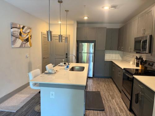 una cucina con un lavello e un piano di lavoro di Large Buckhead modern suite ad Atlanta