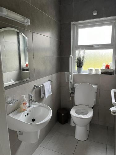a bathroom with a toilet and a sink and a mirror at Loophead Self Catering Cottage in Kilrush