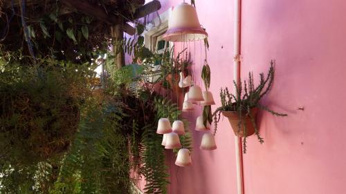 Ein Garten an der Unterkunft Encantos Pousada