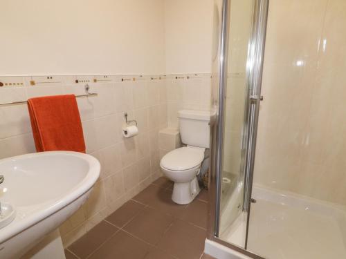 a bathroom with a toilet and a sink and a shower at The Sperrin Getaway in Omagh
