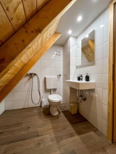 a bathroom with a toilet and a sink at Apartments K.I.D.S. in Vlasic