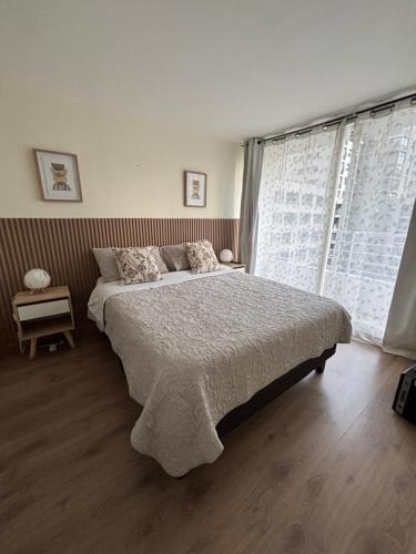 صورة لـ Catedral Centro في سانتياغو