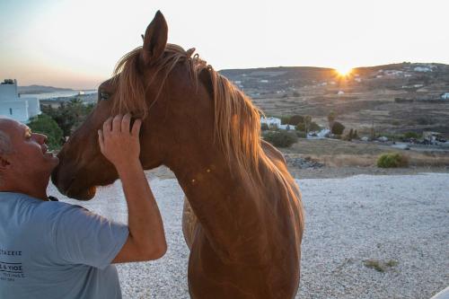 a man kissing a brown horse in the desert at Galanos villa in Krotiri