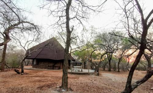a log cabin in the middle of a forest at Chip n Debs Kruger Vacations in Marloth Park