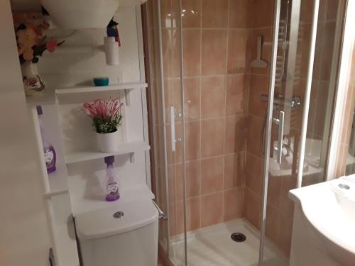 Un baño con ducha, inodoro y lavabo. en Agréable studio dans la résidence les gentianes, aux pieds des pistes de Pyrénées 2000, en Bolquere Pyrenees 2000