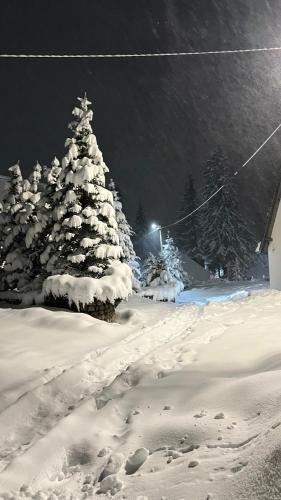 a snow covered christmas tree with footprints in the snow at Apartments K.I.D.S. in Vlasic