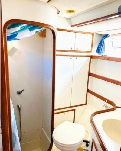 a small bathroom with a toilet and a sink at Enjoy Sailing from Hoorn to Dartmouth 1 May Till 13 May and from 15 May to Lissabon arriving 27 May or 29 Mai to Algarve Vilamoura arriving 10 June in Medemblik