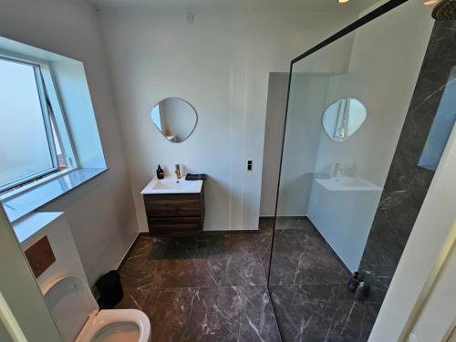 a bathroom with a shower and a sink and a toilet at Lovely room near train&airport in Copenhagen
