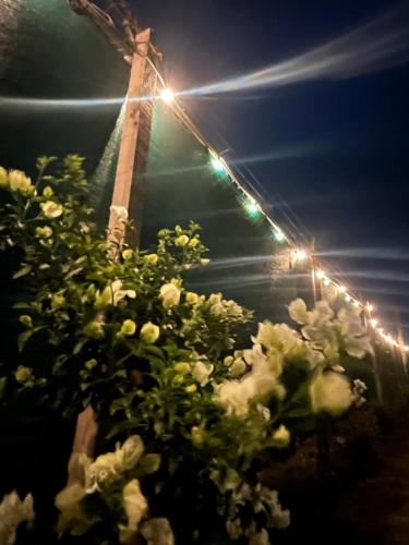 a pile of flowers next to a cross with lights at Glamping Rincón de Lavanda in Texcoco de Mora