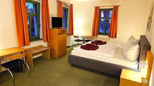 a bedroom with a bed and a tv and windows at Gutshof Hauber in Dresden