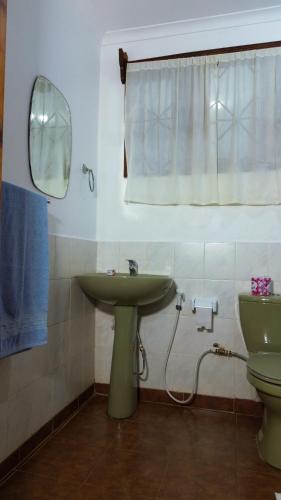 a bathroom with a sink and a toilet and a mirror at LUSHOTO EXECUTIVE LODGE in Lushoto