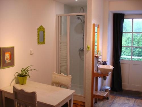 a bathroom with a shower and a table and a sink at Les Deux Vélos Chambres d'Hotes-Table d'Hotes in Biert