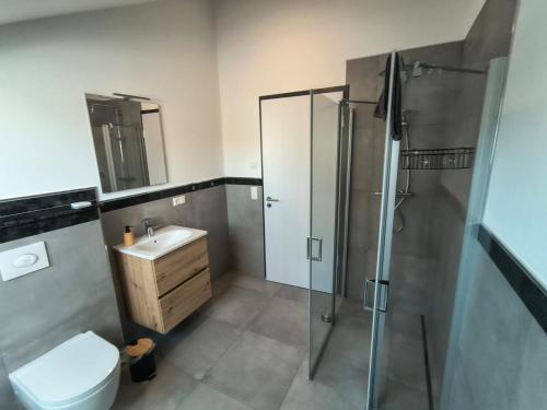 un bagno con doccia, WC e lavandino di Ferienwohnung Sophia a Herbstein