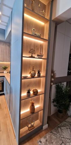 a wall of shelves with plants in a kitchen at Kaltak Luxury Stay in Bar