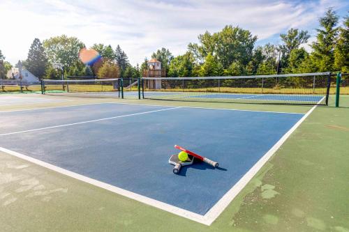 a tennis court with a toy on the court at Pleasant Valley Resort in Arcadia