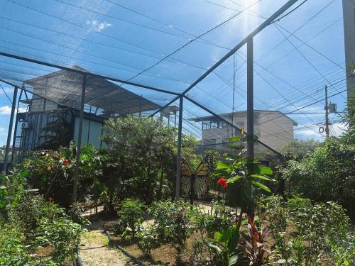 a greenhouse with many plants and a roof at Pupa House - Capsule Hotel - Adults Only in Tamarindo