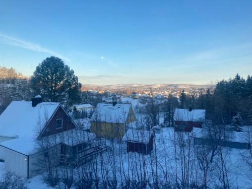 an aerial view of a house covered in snow at 4 bedroom apartment in Kramfors in Kramfors