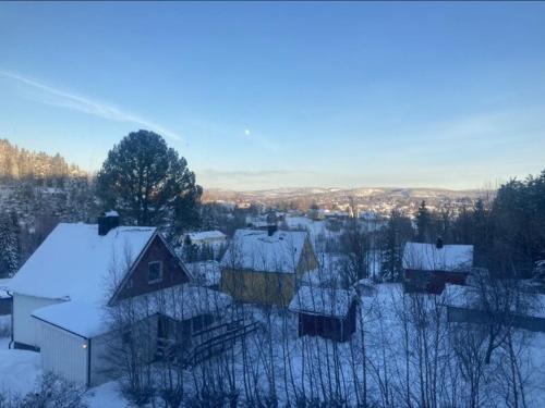 a group of houses with snow covered roofs at 4 bedroom apartment in Kramfors in Kramfors