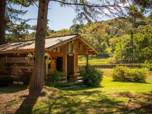a cabin in the woods with a tree at Cabana da cerveja in Treze Tílias