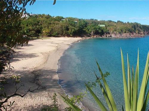 a view of a beach with trees and water at Les Balisiers a 450m de la plage in Deshaies