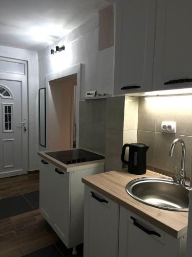 a kitchen with a sink and a counter top at msapartman in Surčin