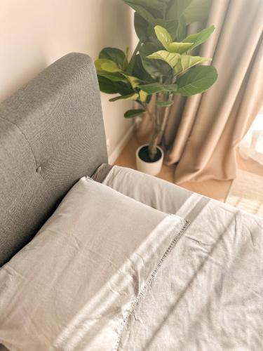 a couch sitting next to a window with a potted plant at Cozy top-floor apartment in Tallinn in Tallinn