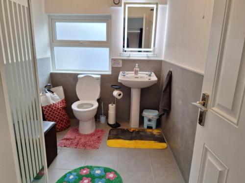 a small bathroom with a toilet and a sink at The Yellow Door in Birr