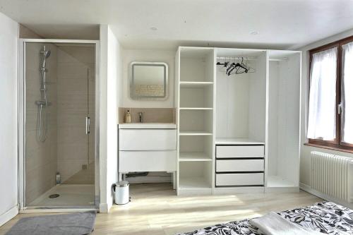 bagno con doccia e cabina armadio di Le Repaire du Lion - Quadruplex - 10 voyageurs a Belfort