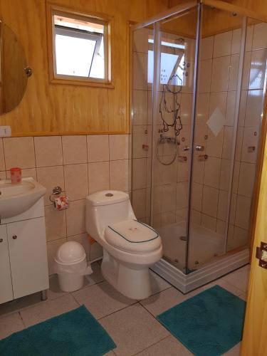 a bathroom with a shower and a toilet and a sink at CABAÑAS RINCON SOLEADO, Chile Chico in Chile Chico