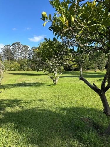 a field of green grass with trees in it at Dural paradise in Dural