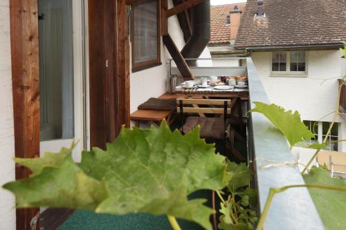 a large green leafy plant on a balcony at Wohlfühlnest in Steckborn