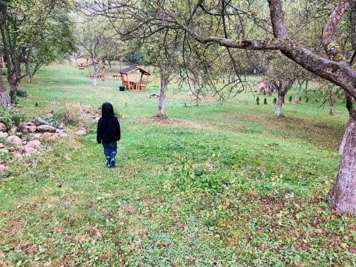 a person walking down a path in a field at Pensiunea Agroturistica Cerna, Vaideeni - Polovragi in Vaideeni