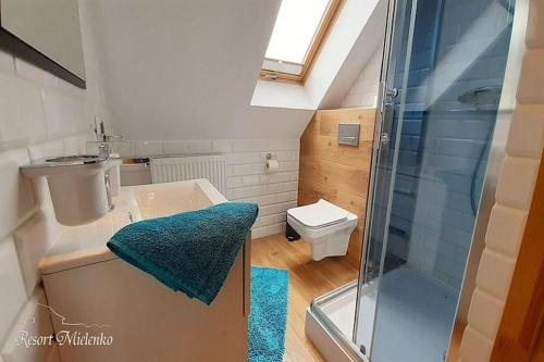 une salle de bain avec douche, lavabo et toilettes dans l'établissement Holiday home with garden, sauna, jacuzzi, à Mielenko