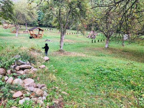 a person walking in a field with a tree at Pensiunea Agroturistica Cerna, Vaideeni - Polovragi in Vaideeni