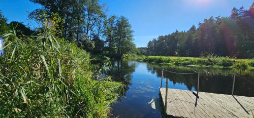 a view of a river with a wooden dock at Leśna Przystań Bory Tucholskie in Łuby