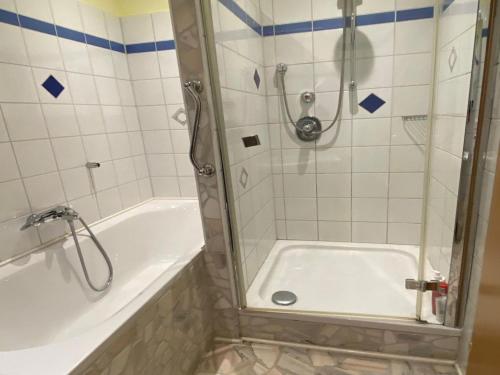 a bathroom with a shower and a tub with a shower at Fanningberg in Mariapfarr