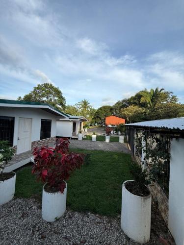 a yard with two white containers with plants in it at Casa Zafiro 2 bdr beach house AC WIFI BBQ in Puerto Jiménez