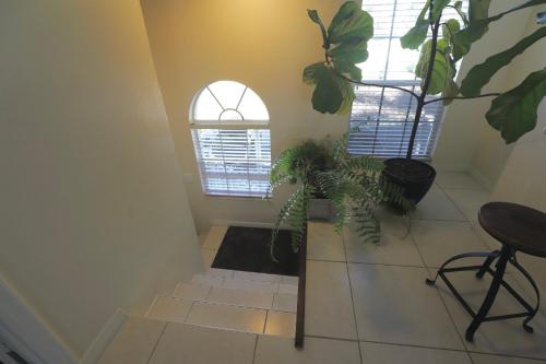 a hallway with two windows and a floor with plants at Waterview Dream in Vamo