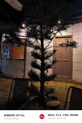 a pine tree in front of a building with a door at Long Homestay Mỹ Hạnh - Hotels in Ðức Hòa