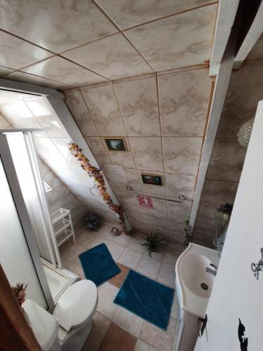 an attic bathroom with a toilet and a sink at Tropical Cabaña B in Coquimbo