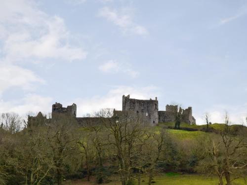 a castle on a hill with trees in the foreground at Victoria House - Uk13380 in Llanstephan