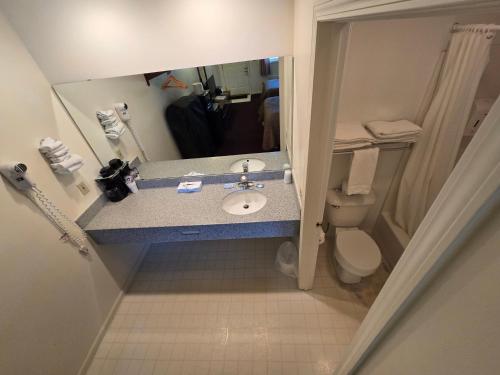 a bathroom with a sink and a toilet at Lake View Motel in Cooperstown