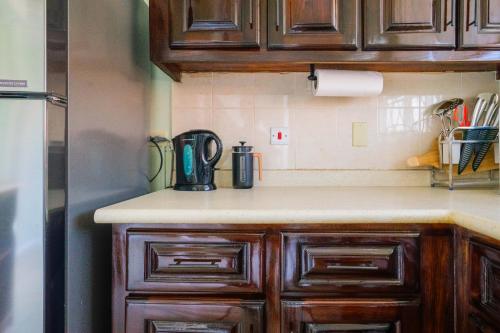 a kitchen with wooden cabinets and a counter top at Musgrave AnneX- comfy 1 bedroom apartments in Kingston