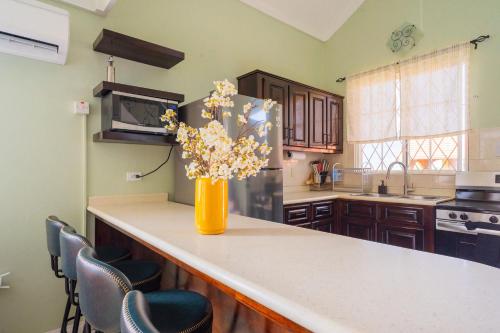 a kitchen with a vase of flowers on a counter at Musgrave AnneX- comfy 1 bedroom apartments in Kingston