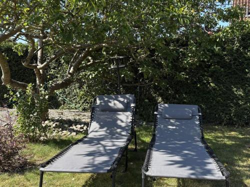two benches sitting in the grass under a tree at 5 star holiday home in Löderup in Kåseberga
