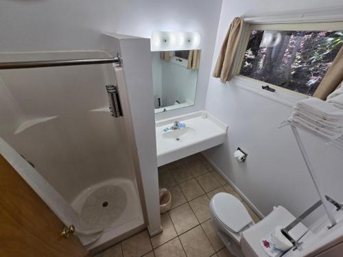 a bathroom with a shower and a toilet and a sink at Lake View Motel in Cooperstown