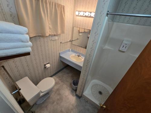 a bathroom with a toilet and a sink and a shower at Lake View Motel in Cooperstown